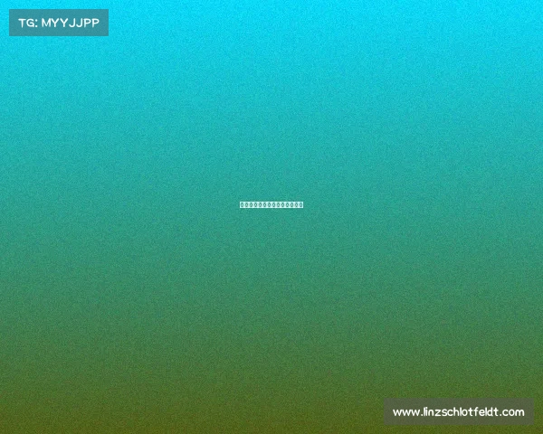 上海合燊国际货运代理有限公司